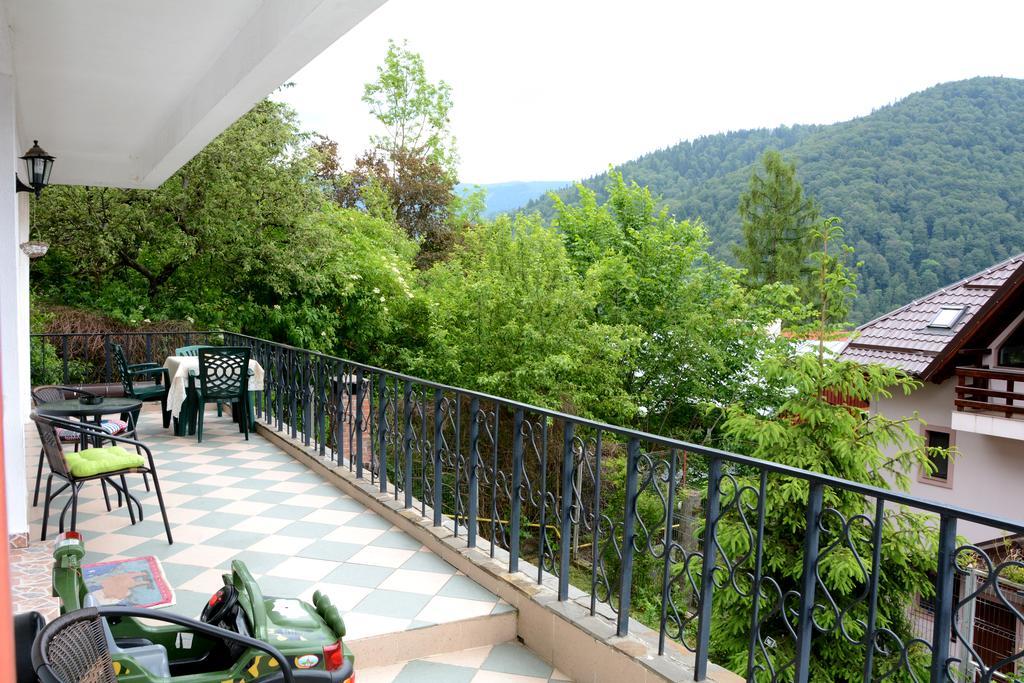 Casa Ana Villa Sinaia Luaran gambar